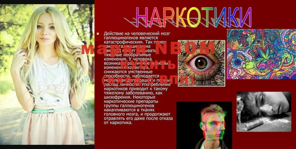 стафф Кинешма