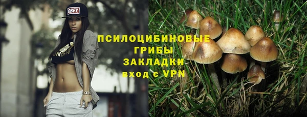 спиды Козловка