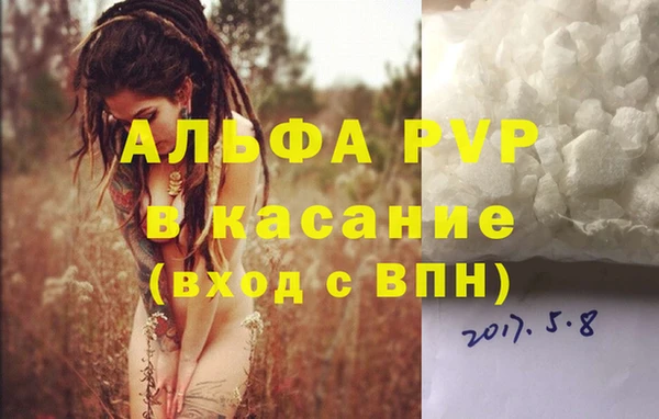 стафф Кинешма