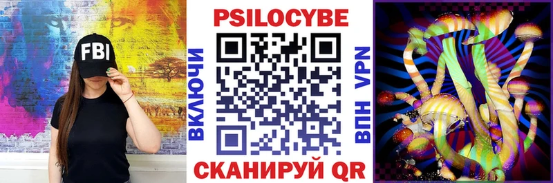 Купить закладки  Калач-на-Дону  Псилоцибиновые грибы прущие грибы 
